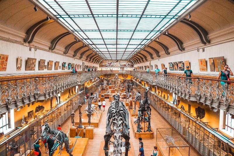 museum, dinosaur, dino
