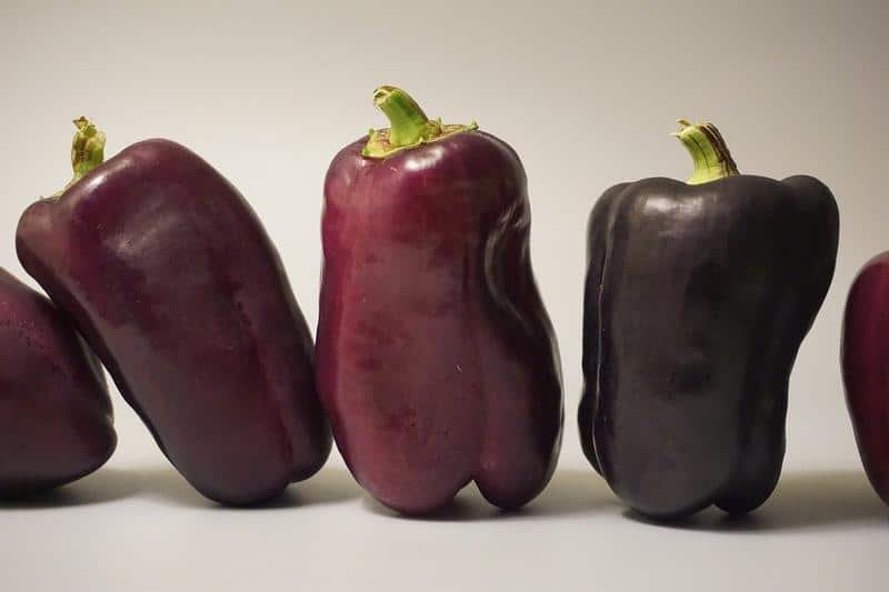 vegetables, nature, food