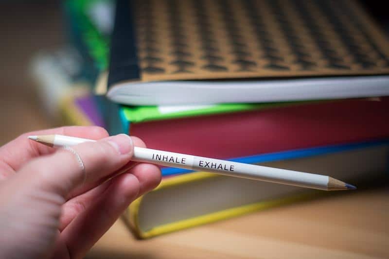 pen, blotter, notebook