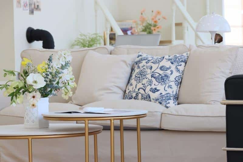 sofa, book, living room