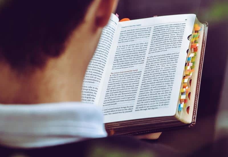 a book, read, text