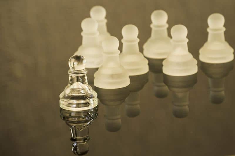 leadership, leader, chess