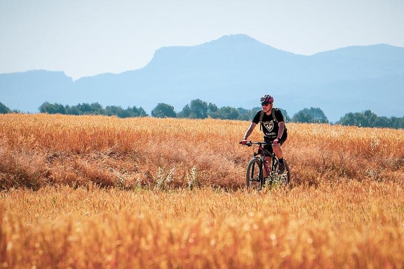 cycling, cyclist, path