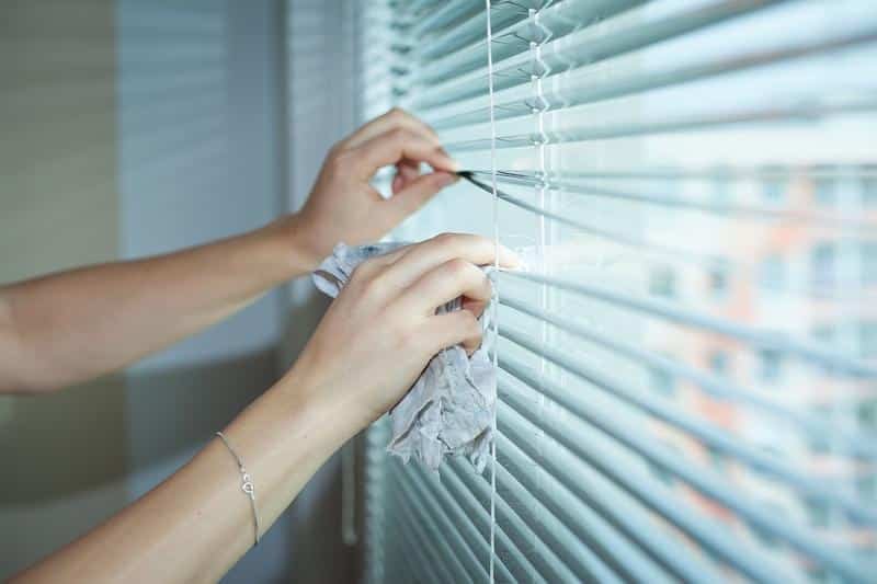 blinds, hands, cleaning