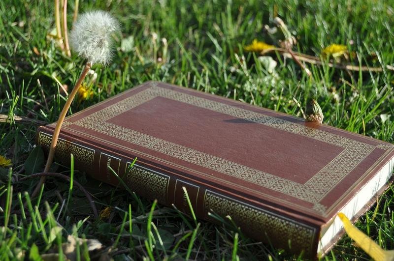 republic, plato, book