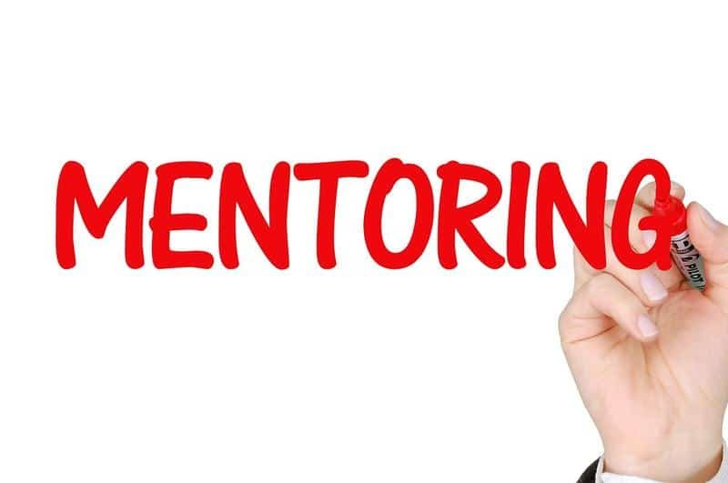 mentoring, business, success