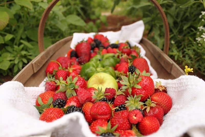 strawberries, fruit, apples