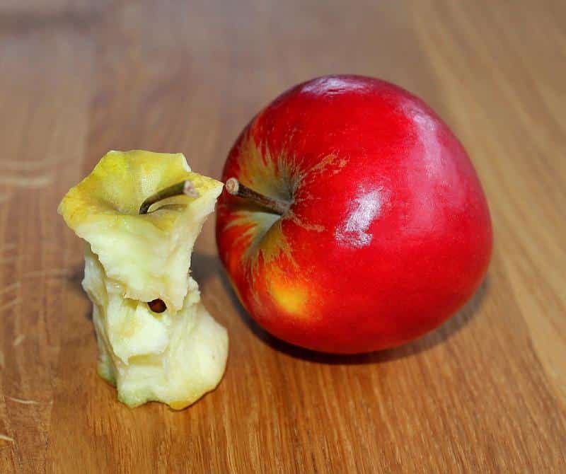 apple, eaten apple, apples