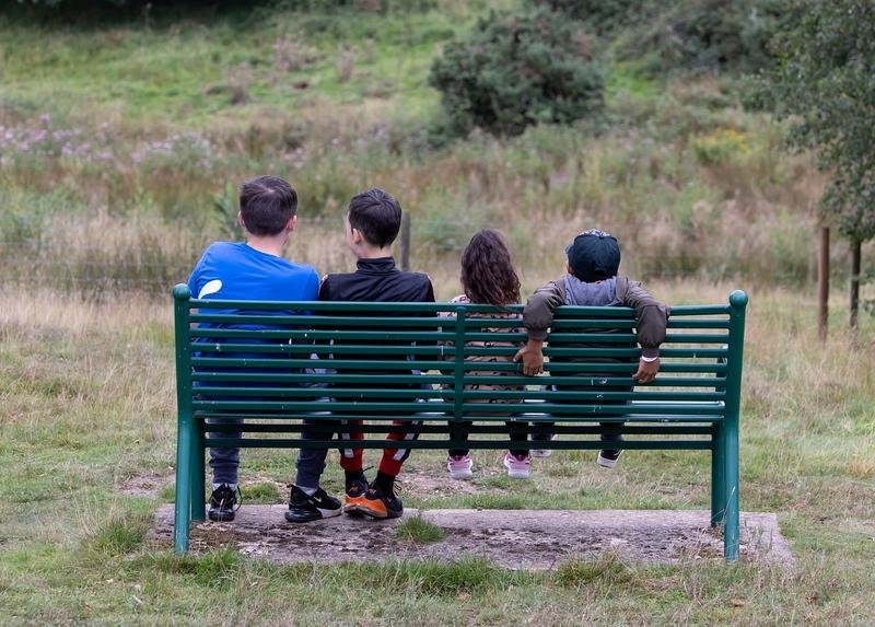 family, bench, nature