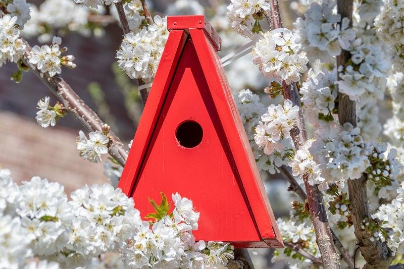 bird house, triangular, red