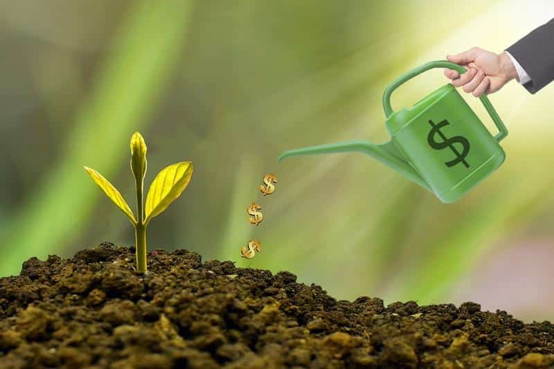 investment, watering can, dollar