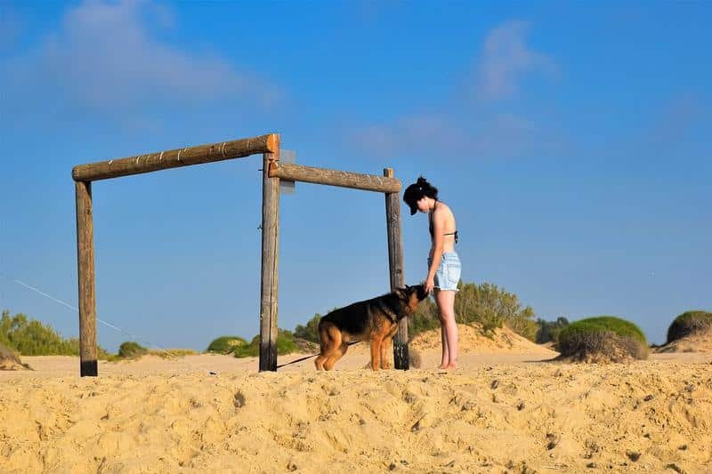 friends, dog, young female
