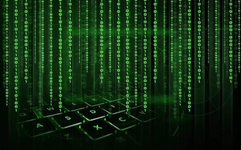 matrix, data, network