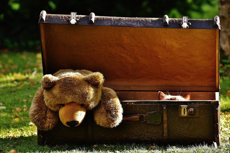 suitcase, antique, teddy
