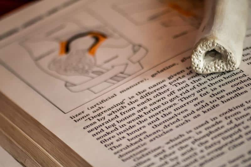 encyclopedia, book, text